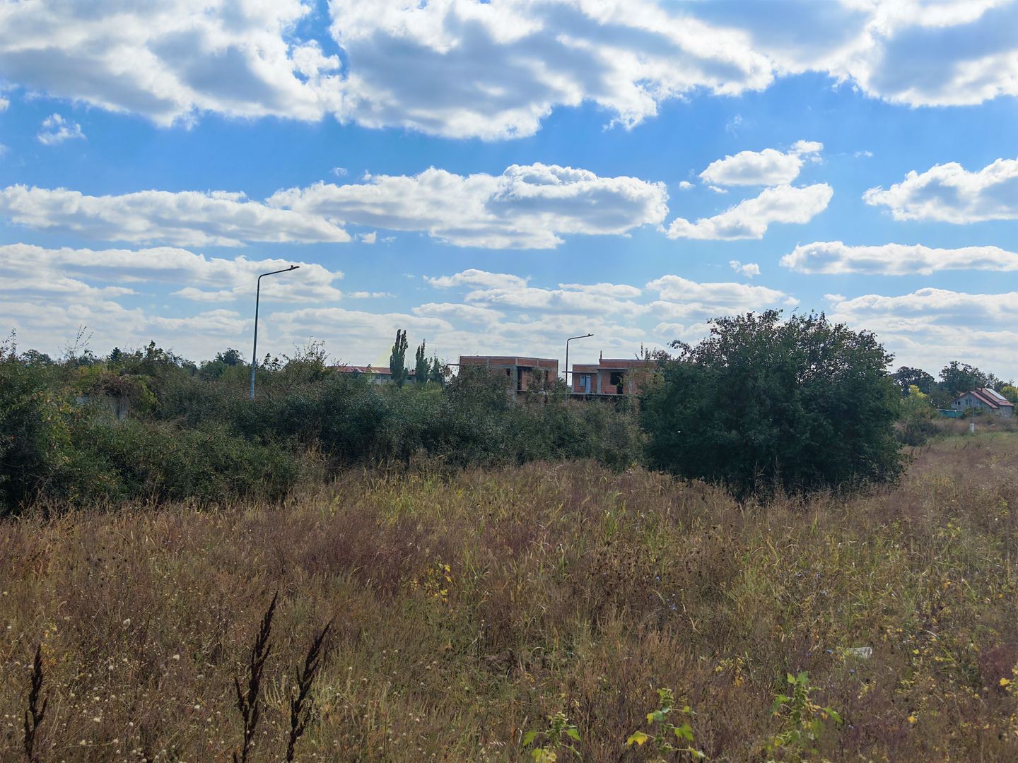 5.900 mp pentru Dezvoltare Rezidențială – Str. Polonă, Periș - Poză 2