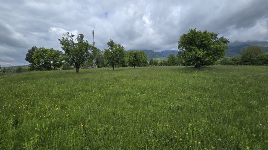 Teren intravilan Vanzare Parcelat - Poză 8