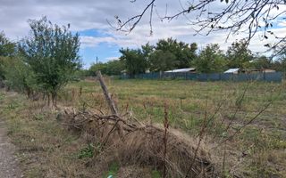 Teren investitie 2262mp // Lac Dorobantu // comuna Varasti - Poză 3