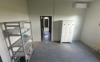 Spațiu comercial, producere+plantație de aronie, Timiș - Poză 13