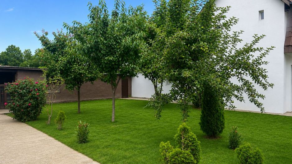 DUPLEX SANMIHAIU ROM - Poză 2