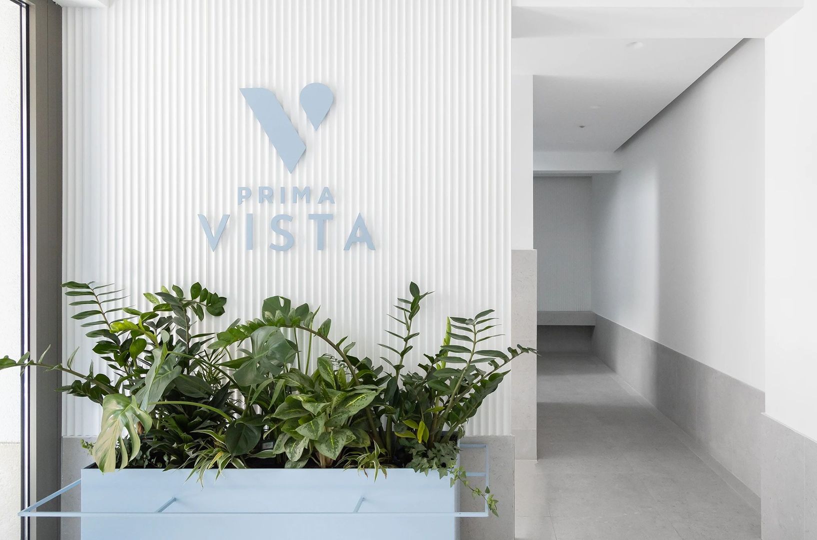 Prima Vista - Poză 5