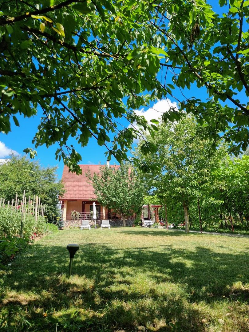 CASA+TEREN, ZONA SUD - Poză 17