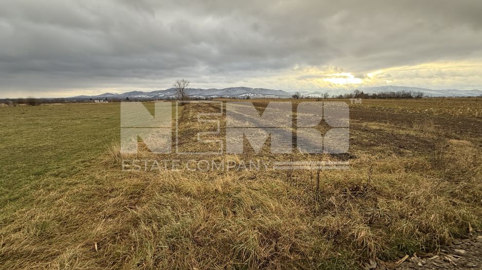 Teren 80 Ari | Vicovu de Sus – Bahna | Front 16.5 - Poză 5