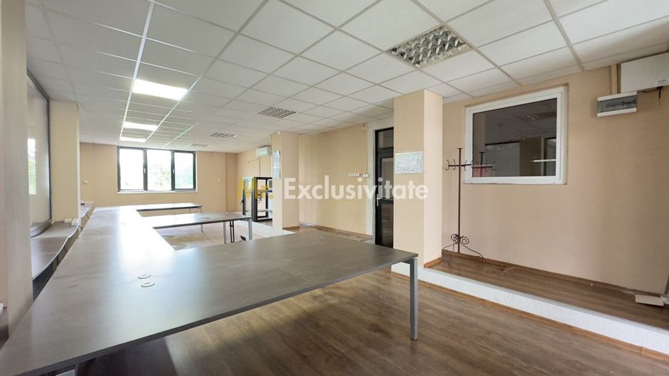 Clădire Industrială Hală Producție, Depozitare, Birouri-Teren 3140 mp - Carei - Poză 16