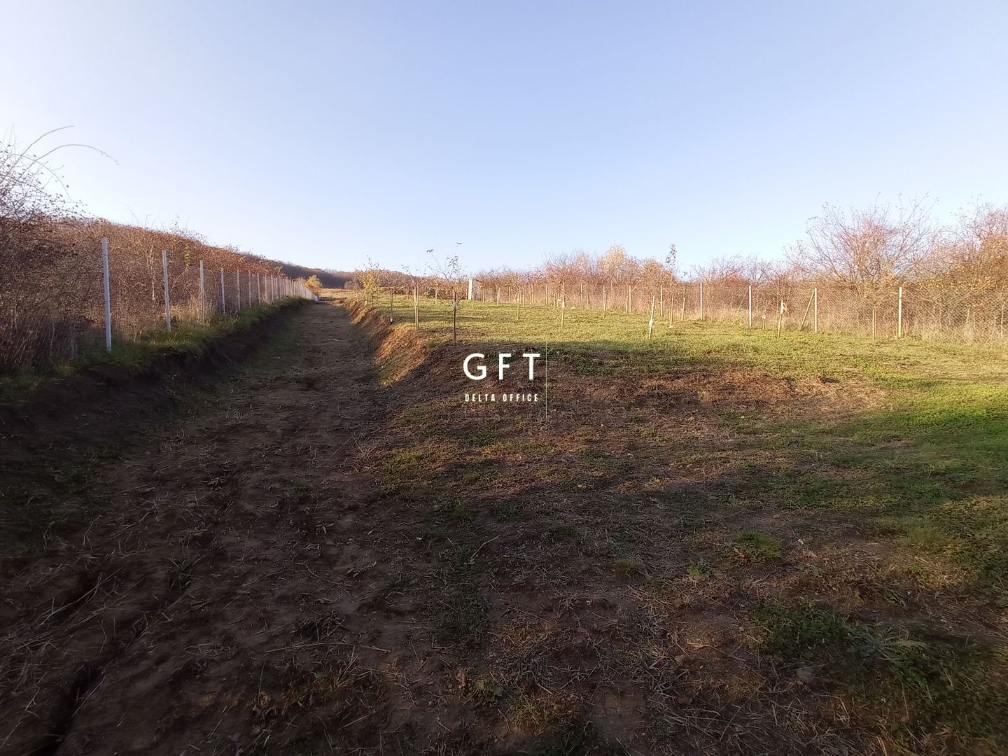 Teren Viisoara 27 ari - Poză 5