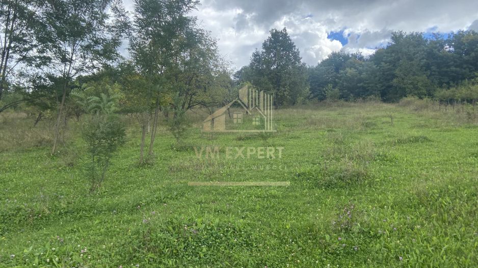 TEREN 1617 MP CAMPULUNG-MUSCEL - Poză 1