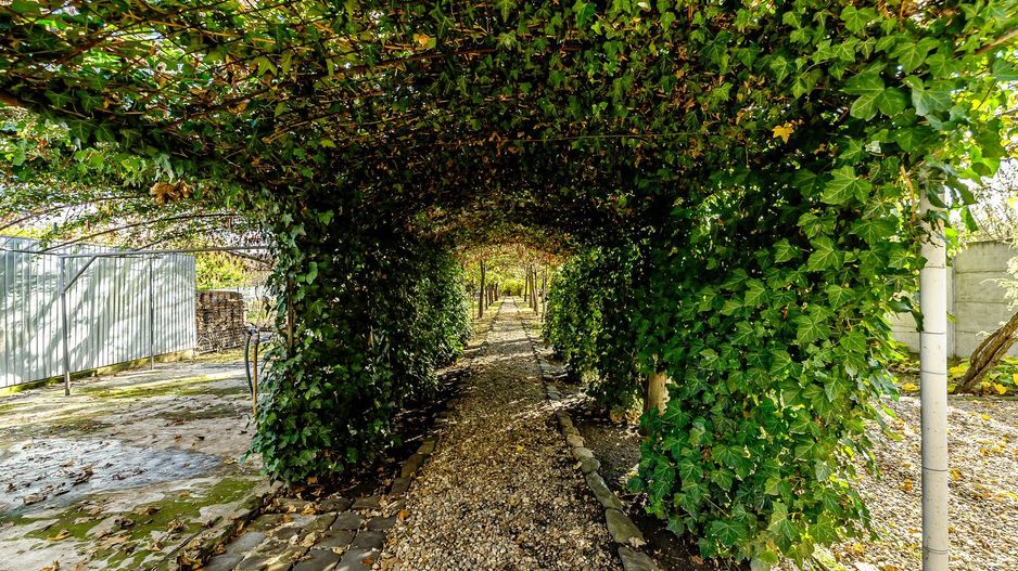 Vilă 5 camere Grădiște | 2 corpuri | 0% comision. Preț negociabil! - Poză 4