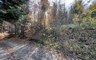 Teren 500 metri - central Sinaia - ideal constructii - Poză 5