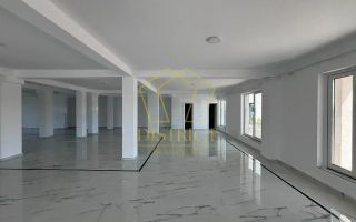 SAD 50-100mp VAD comercial | Dumbravita - Poză 3