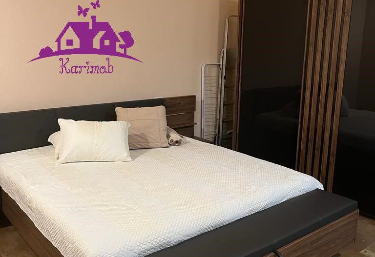Apartament ultracentral de vanzare sau inchiriere - Poză 5