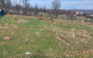 Teren intravilan I 1000 mp I  Tocile - Sadu - Poză 4