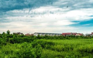 Teren intravilan in comuna Glina - Poză 2