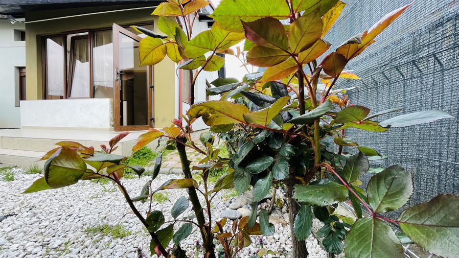 Casa din Dumbravita, 4 camere, 110 mp - Confort si liniste - Poză 45