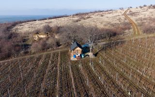 Vita-de-vie Premium  teren de 6800 mp în Covăsinț - Poză 6