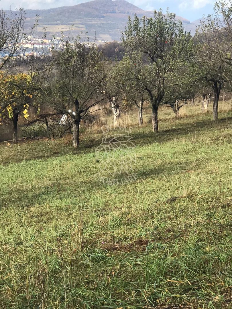 Teren intravilan 3800 mp-pretabil case-parcelabil-Zona Cartier Raal - Poză 5