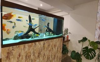 Apartament Baneasa/ Petrom City - Poză 14