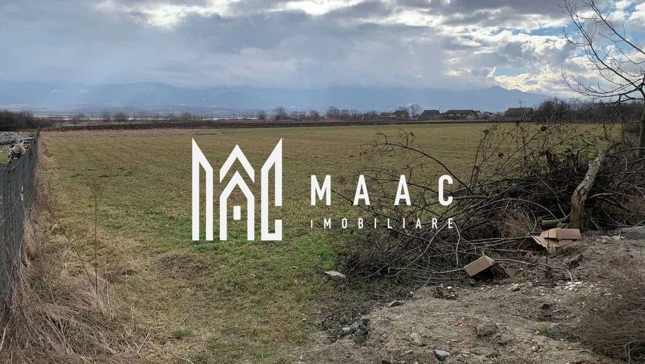 Teren intravilan I 2300 MP I DN 1 - Bradu - Poză 3