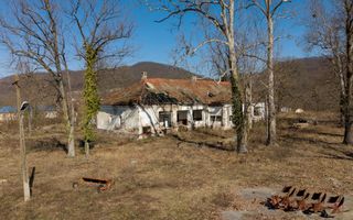 Conac nobiliar de secol XIX cu 8 camere în Maciova - Poză 4