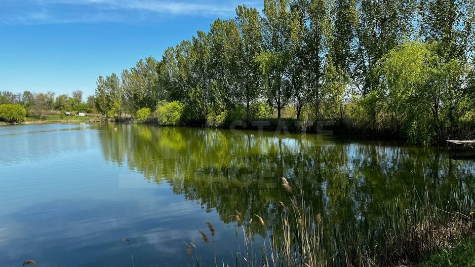 Vânzare, teren agricol, 90 ha, Orhei, satul Seliște - Poză 10
