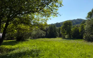 Teren Parau | Valea Danului, Curtea de Arges | Vidraru | - Poză 11
