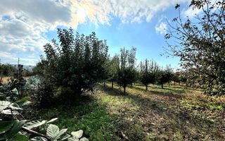 Livada+gradina, teren intravilan 2902mp, Damienesti-Bacau, comision 0 - Poză 13