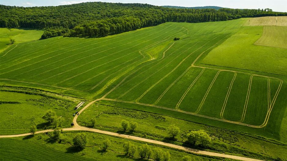 Portofoliu funciar de exceptie: 23.669 mp teren extravilan Sangiorgiu, Mures - Poză 1