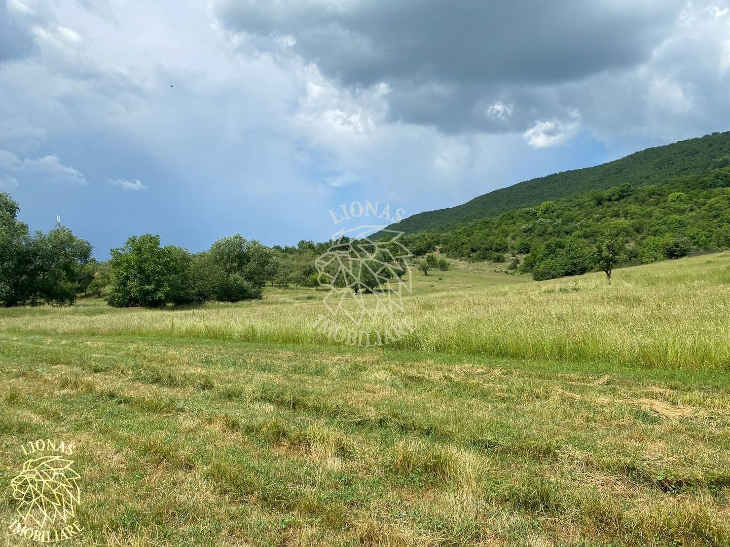 Teren 1000 mp-panoramic-Sieu Magherus la 16 km de Bistrita - Poză 6