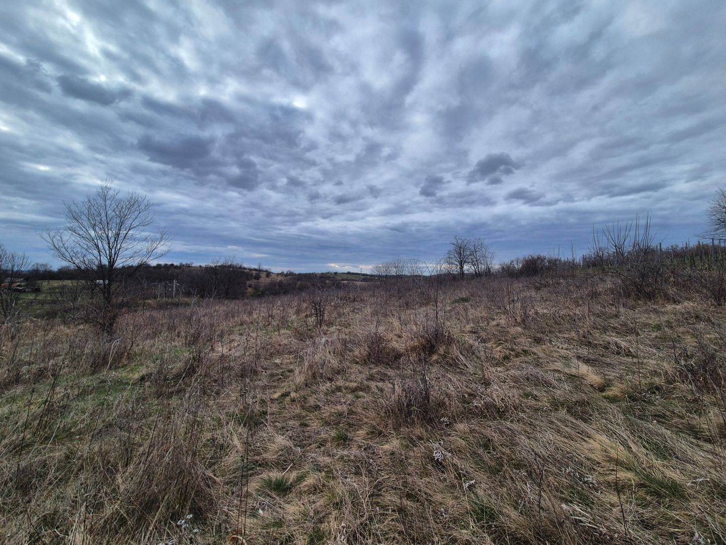 Vand 2 parcele de 5700 mp zona Iabalcea - Poză 8