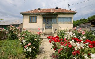 Casa cu 5 camere de vanzare | 700 mp teren | Valea Dulce, Prahova - Poză 1