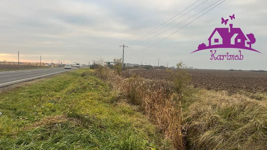 Teren pentru hale soseaua Nojorid Les - Poză 3