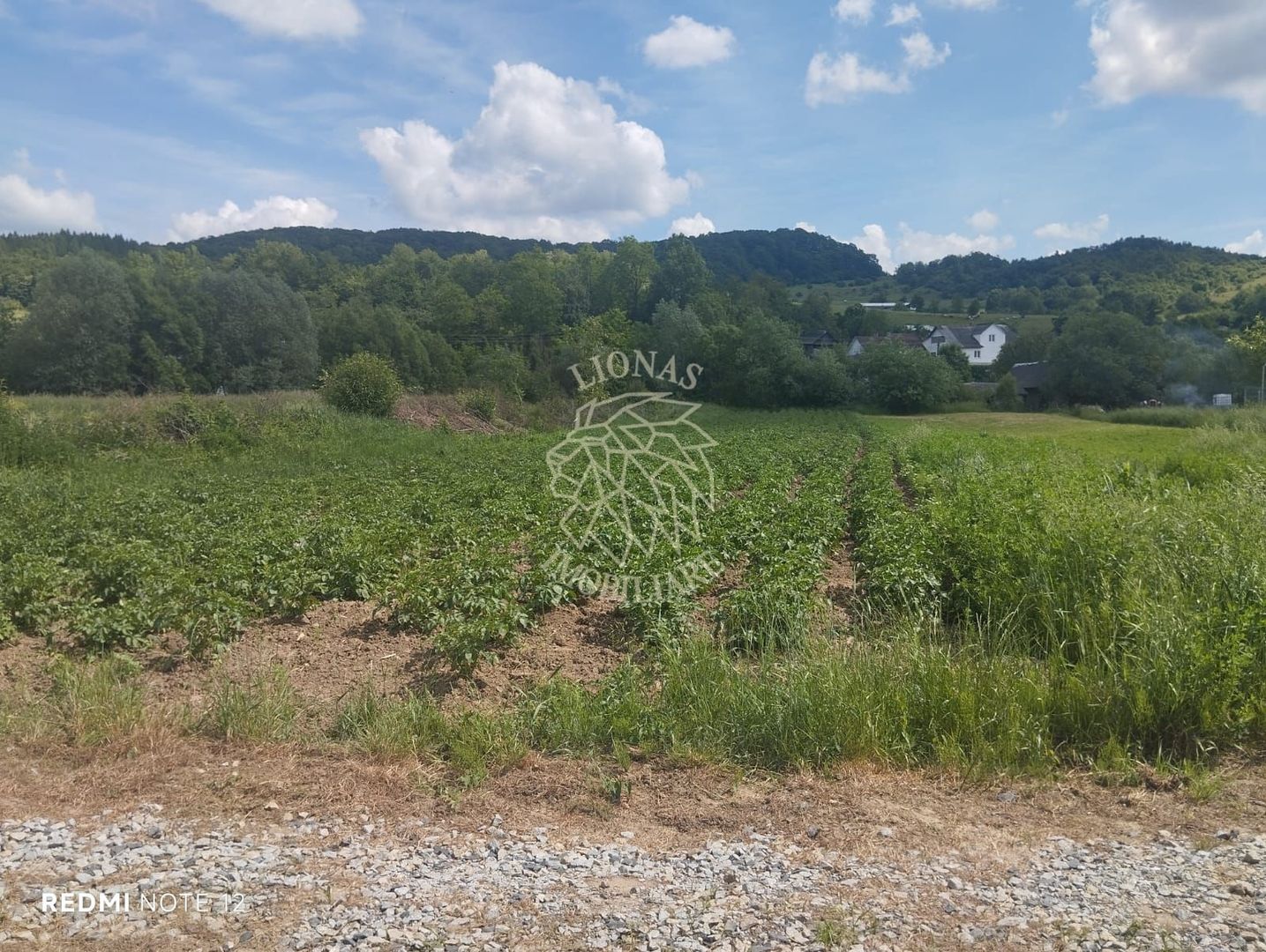Teren 5832 mp-ideal lac, investitie, cabana, gradina-Slatinita - Poză 3
