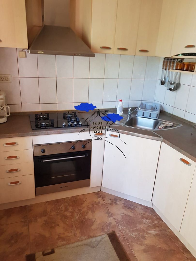 Apartament 2 camere, PET FRIENDLY - 45 mp - zona Astra - Poză 2