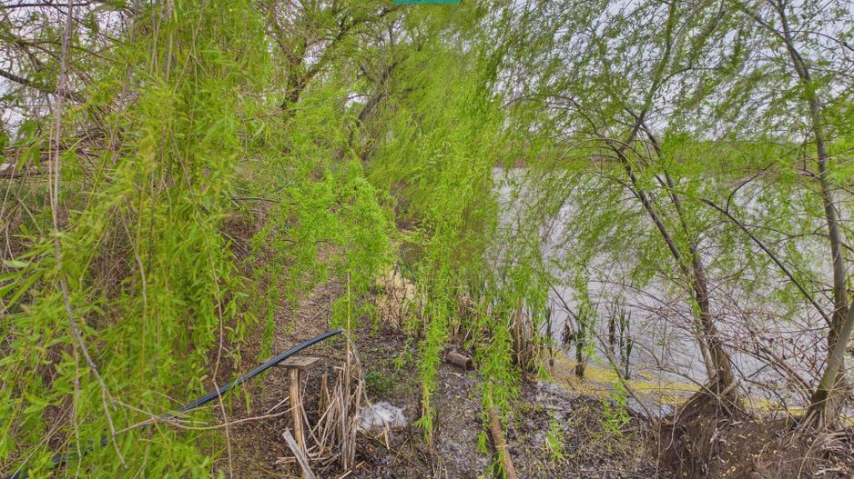 Teren 1 ha cu baltă populată – Alioș (Mașloc) - Poză 10