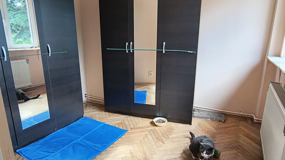 Calea Grivitei- Podul Grand - Poză 13