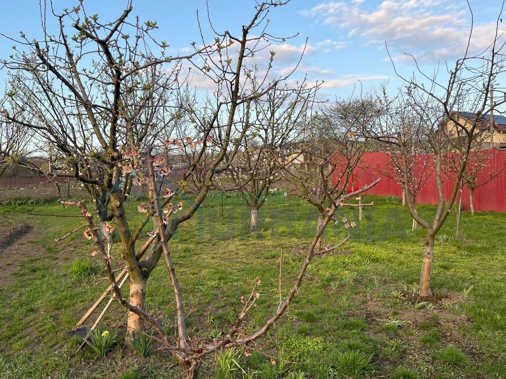 Casă de familie în Dorobant, zonă metropolitană, 253 mp, P+M+Pod, 2 apartamente decomandate, 2012 - Poză 5
