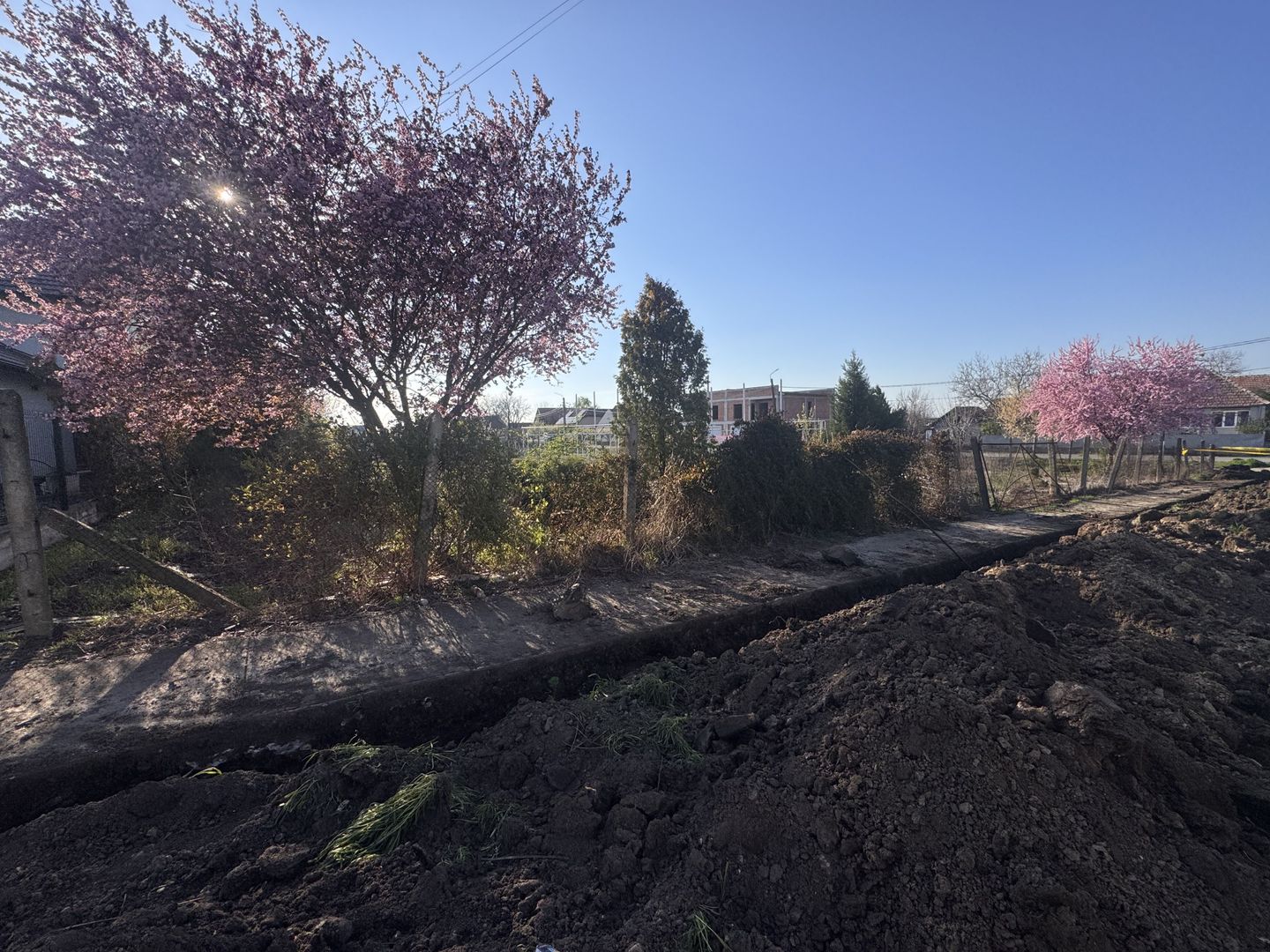 Teren Intravilan Becicherecu Mic 750mp,F.S 19ml,Utilitati,Asfalt - Poză 1