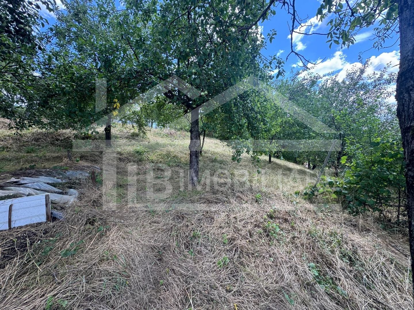 Casa cu 3 camere, 2300mp teren, zona SubPadure - Poză 16