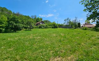 Teren de Vanzare in Plopu - Darmanesti, cu toate utilitatile - Poză 4