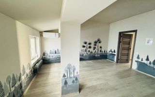 Chirie spatiu de birouri, bd. Mircea cel Batran, Ciocana - Poză 7