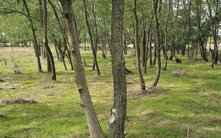 Teren intravilan construibil peisaj de vis - Poză 3