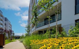 Chirie | Apartament 3 camere | Prima Închiriere | Jandarmeriei - Poză 19