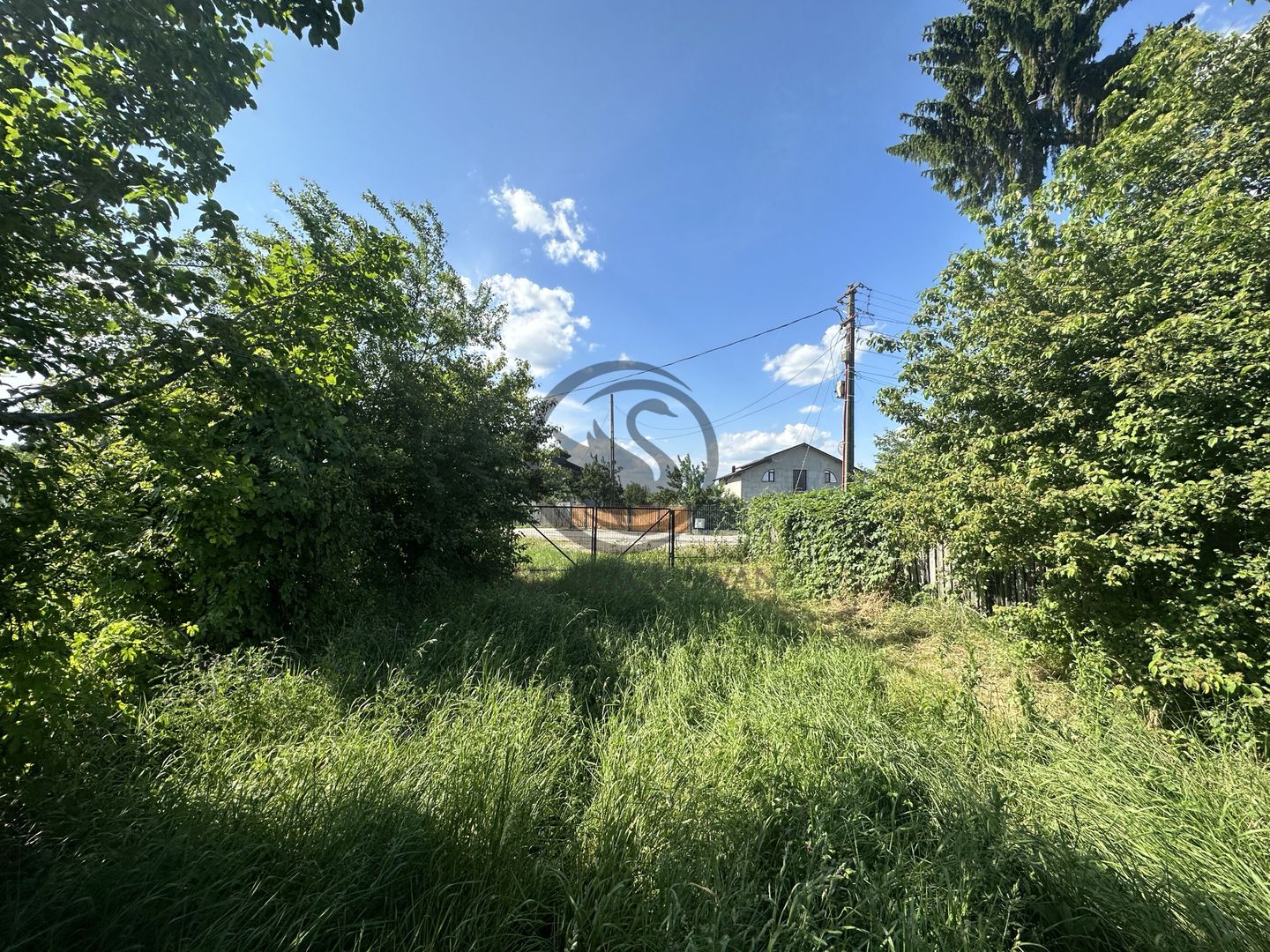 Teren intravilan de vanzare | 11.000 mp | Ghirdoveni | Comision 0% - Poză 4