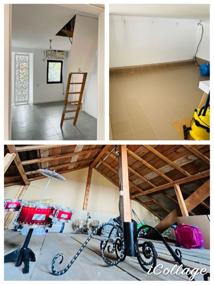 Vila Plopii fara sot, Bucium - Proprietar - Poză 4