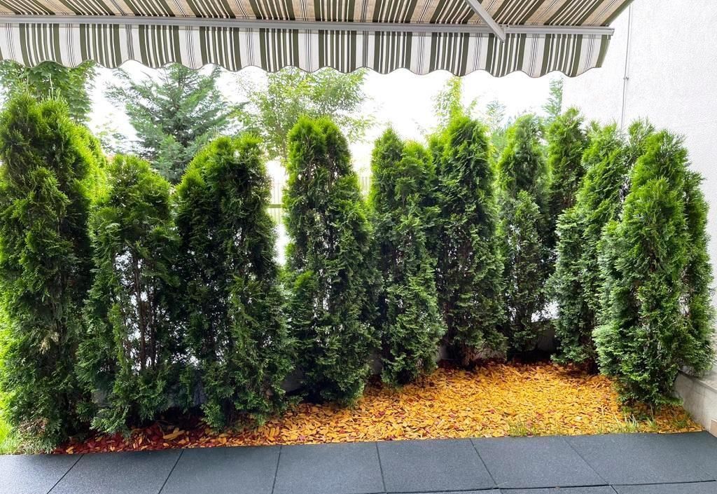 Apartament 3 camere cu gradina privata | zona Sisesti - Poză 14