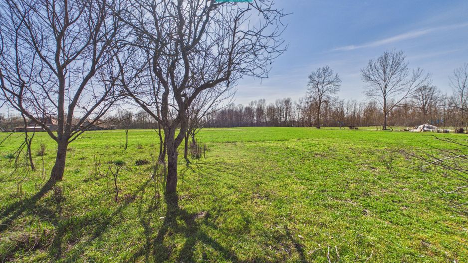 Casă cu teren generos de 6.000 m² - Poză 14