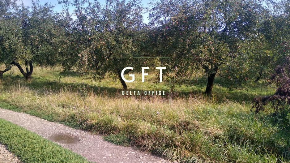 Teren 1500 mp - pretabil cabana/investitie - Zona Valea Rusului - Poză 2