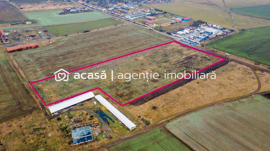 Teren 3.65h zonă industrială, Sânicolaul Mic. - Poză 4