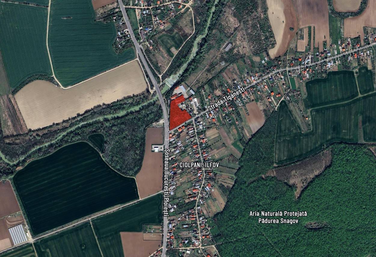 Teren intravilan comercial cu expunere directă la DN1 – Ciolpani, Ilfov  / km 36 - Poză 8