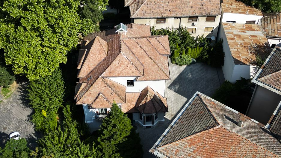 Vila Sfânta Rozalia, Timișoara - Poză 8
